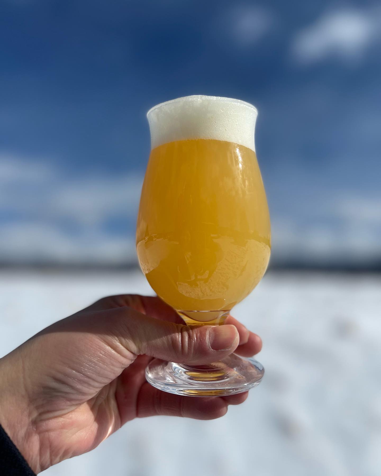 REPUBREW アマリロジョーンズ〜黄金郷に眠る　　　　　アイダホの秘宝〜 （HAZY IPA）リパからの新年１発目のヘイジ〜はなんと、アマリロジョーンズでございますwこんなふざけた名前、美味いに決まってる！試飲済みですが、ヘイジー好きは絶対飲んで欲しい！！！正直にいいます。　　　^_^^_^う.ま.す.ぎ.る^_^^_^是非、飲んでって〜#リパブリュー #クラフトビール #ヘイジーipa #ipa #キャンプ #と言えば #ビール #とりあえずビール #ではなく #絶対ビール #永遠ビール #週末 #楽しい #ウィークエンド #とりあえず #乾杯 #はokとする #雪 #八ヶ岳 #原村 #ビール #ストーブハウス原村